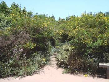 Parc National de Garajonay 