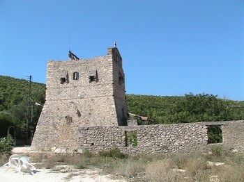 Tour mdivale servant de clocher