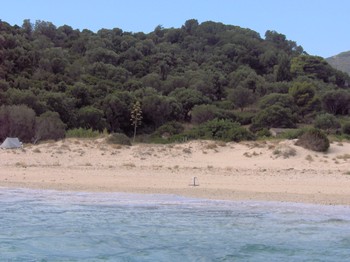Plage de ponte sur l'îlot